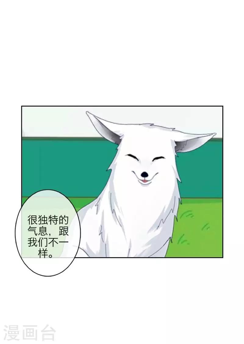 第105话 婚礼-第107话