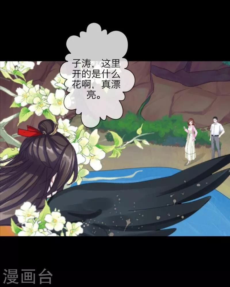第52话 最后的笑颜(1/2)-第53话