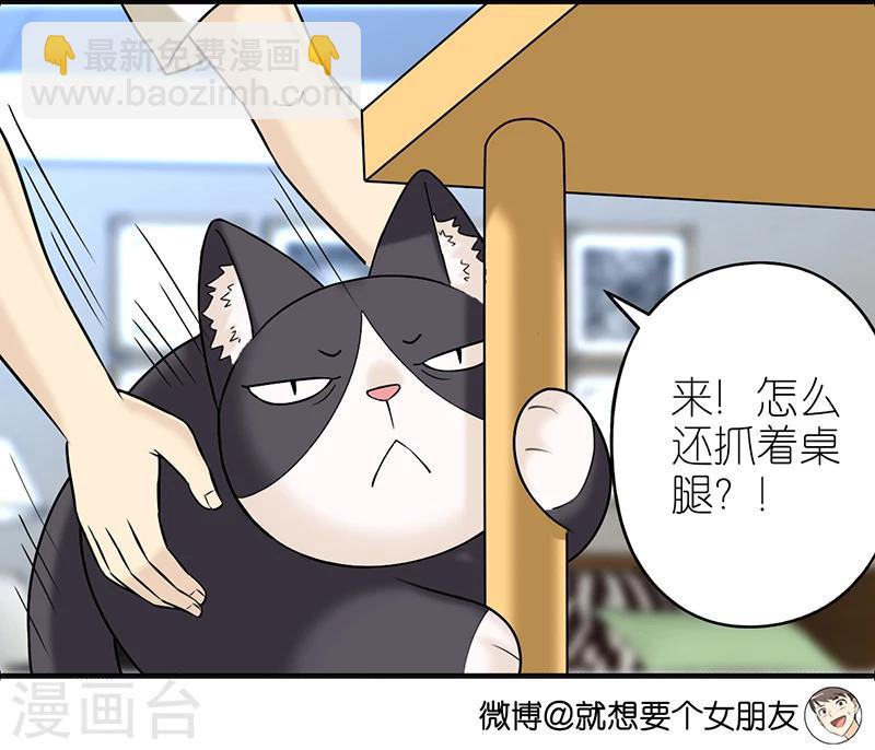 🍴就想要个女朋友 第382话 宠物2 第3页