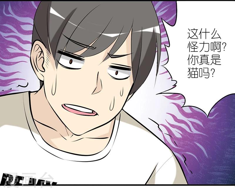 🍴就想要个女朋友 第382话 宠物2 第5页