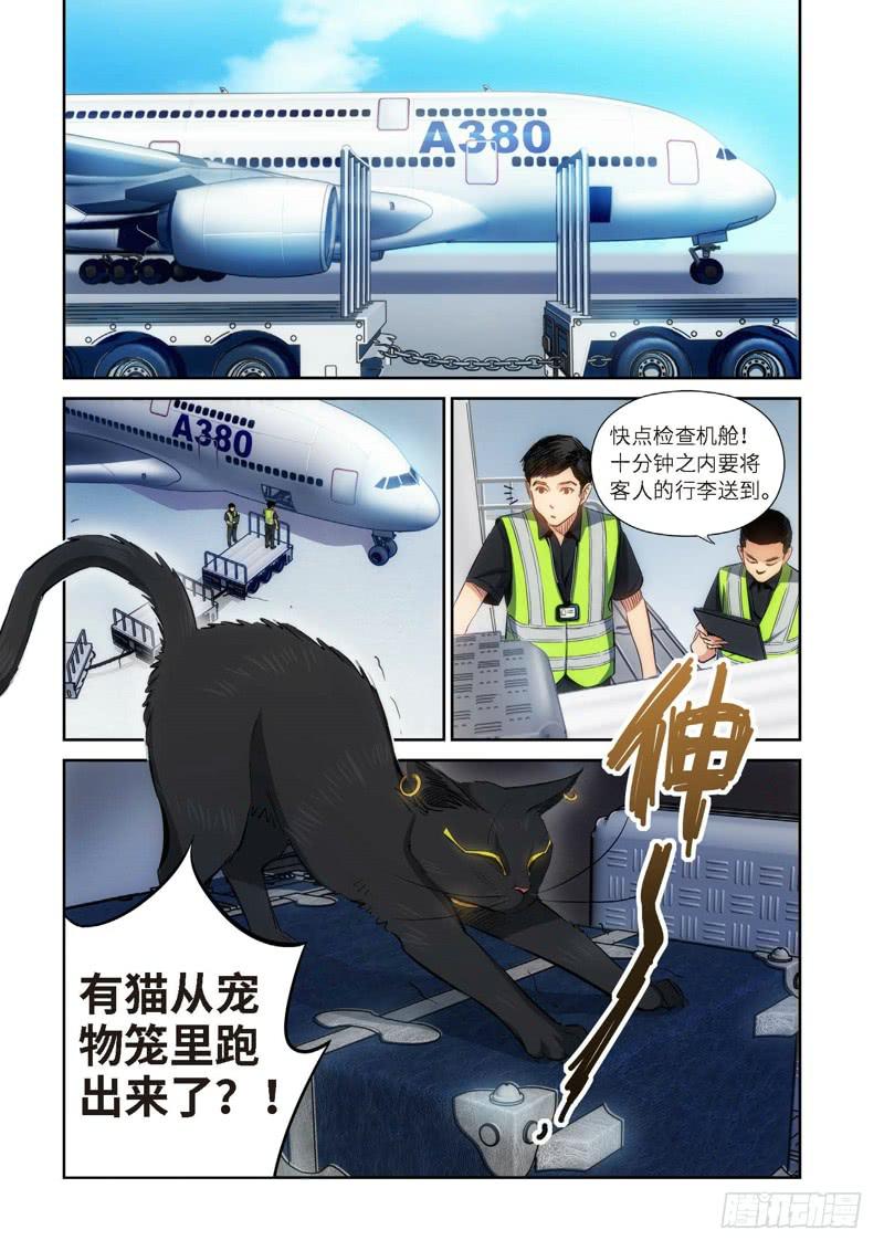 81.猫来了（01）-第83话