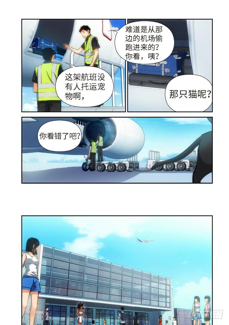 81.猫来了（01）-第83话