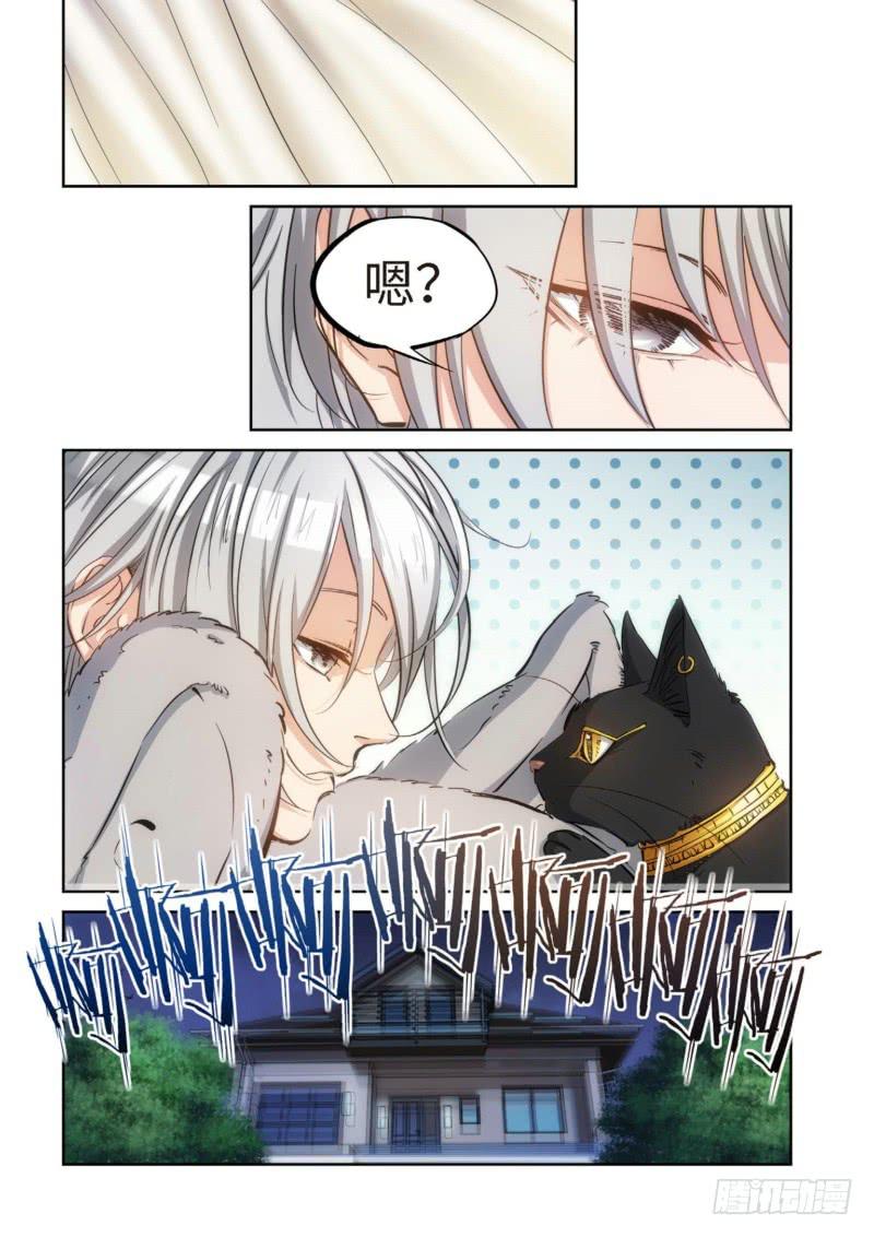 81.猫来了（01）-第83话