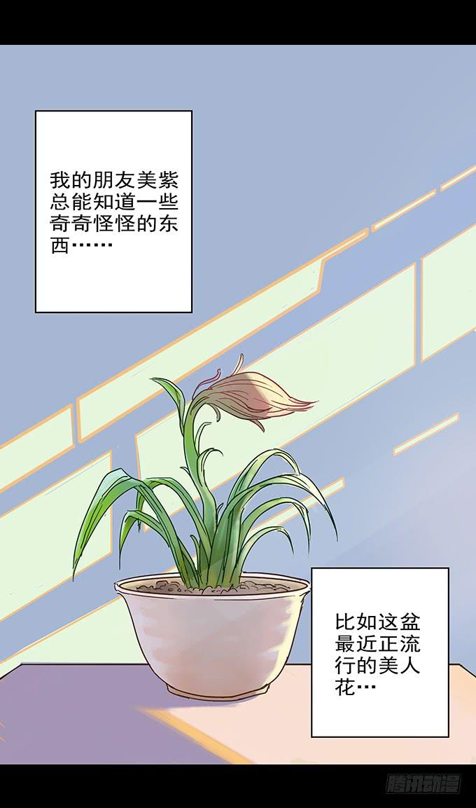 美人花(1/2)-第93话