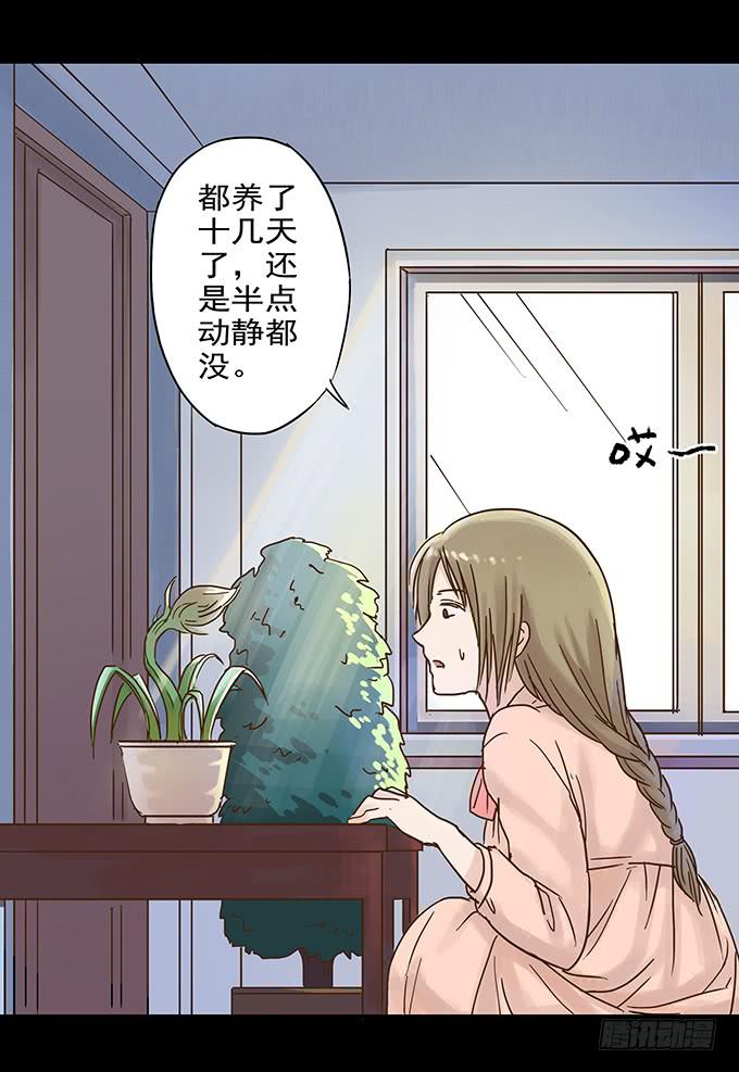 美人花(1/2)-第93话