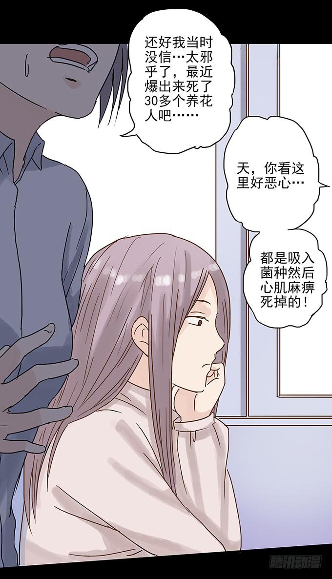 美人花(1/2)-第93话