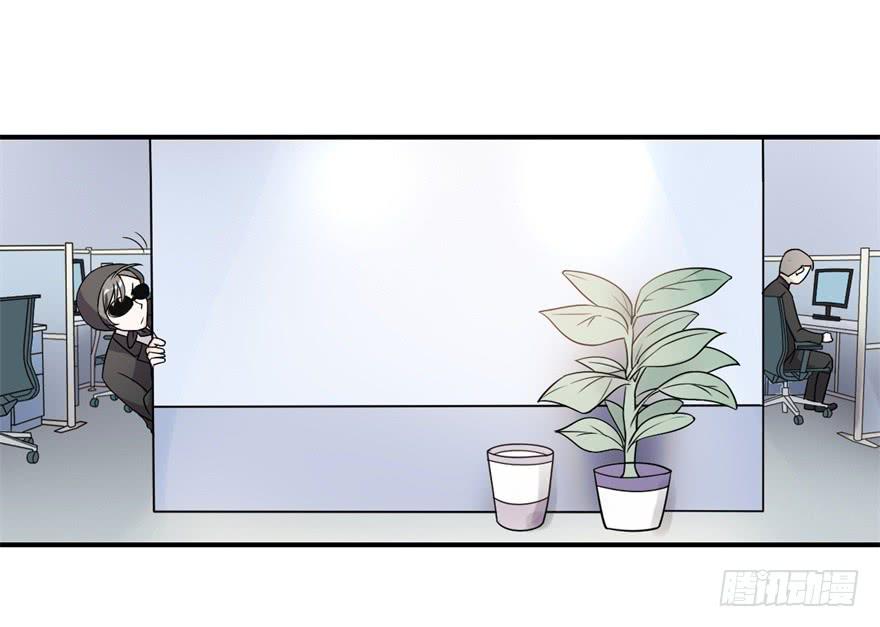 33、琳琅满目的世界-第33话