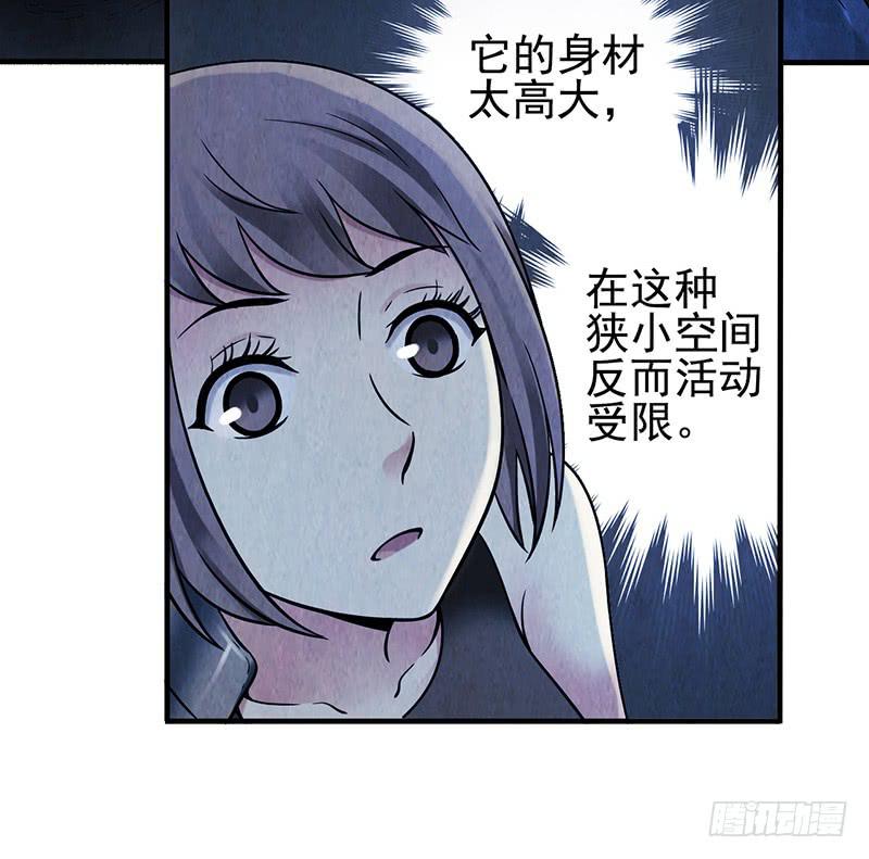 第41回：深入洞穴-第41话