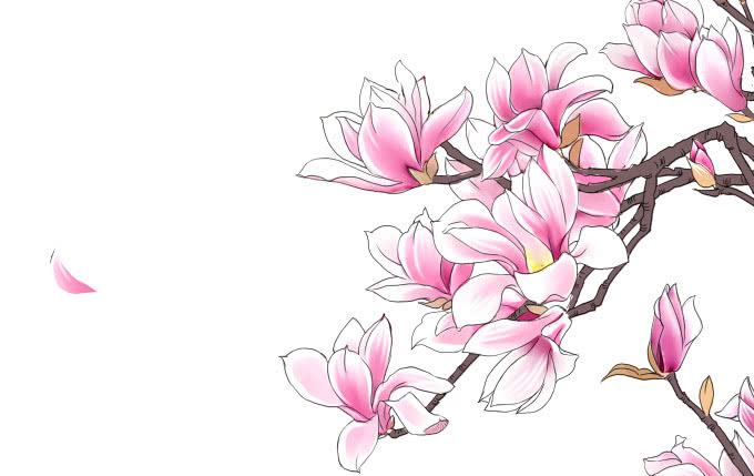 醒悟-第33话