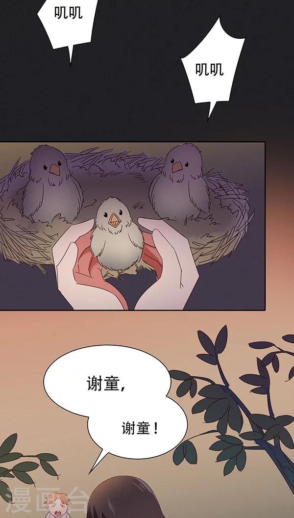 第29话-第29话