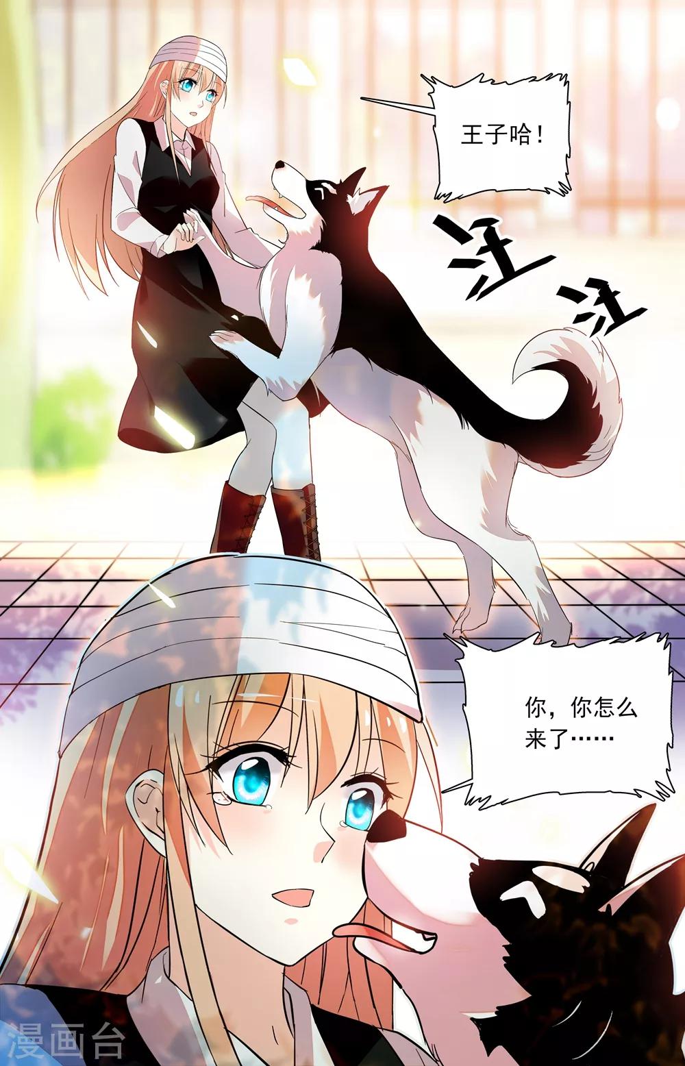 第229话 真正的移植者-第245话