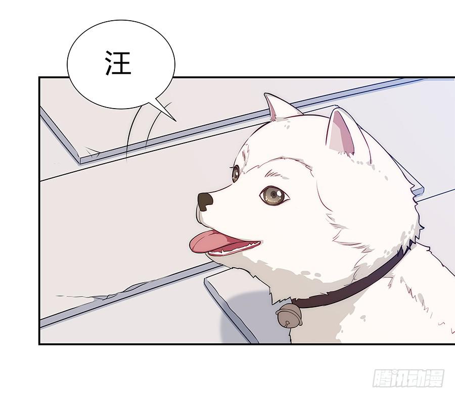 🍔恋爱云书 069耍大牌翻车现场 第43页