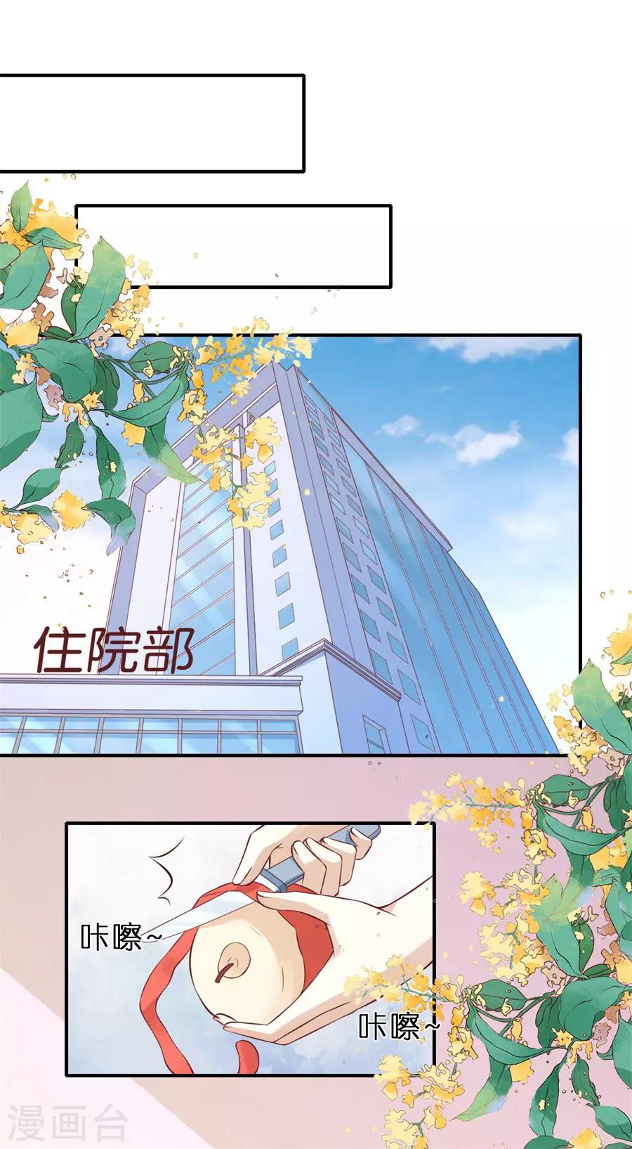 第269话 爱的奇迹-第269话