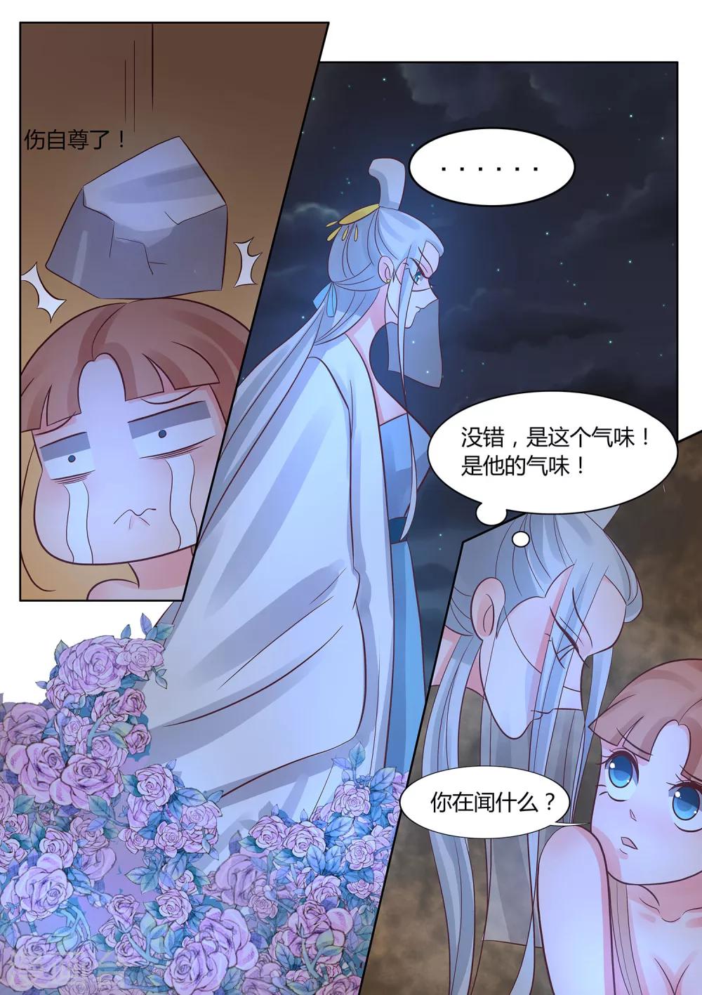 第40话 命运的相逢-第41话