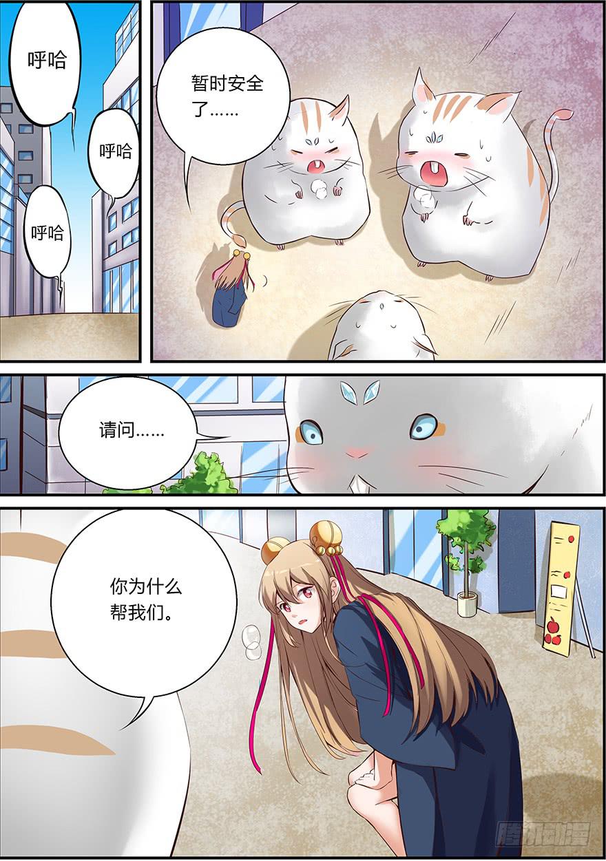 启程篇 第一回-第5话