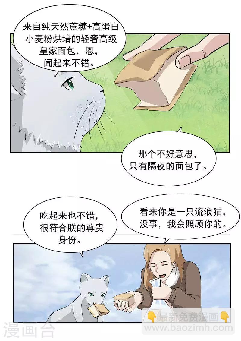 第51话 生命之光-第51话