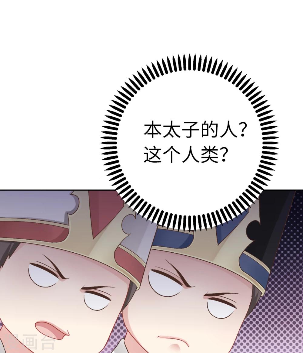 第31话-第31话