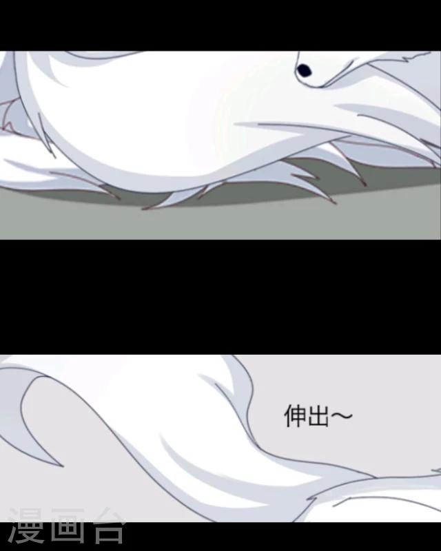 第14话 灵狐(1/2)-第15话
