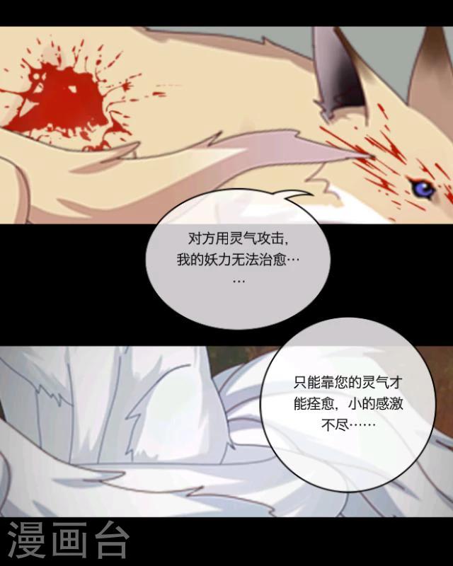 第14话 灵狐(1/2)-第15话