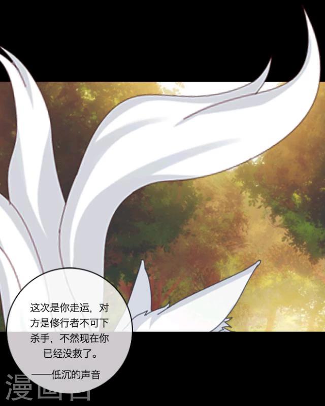 第14话 灵狐(1/2)-第15话