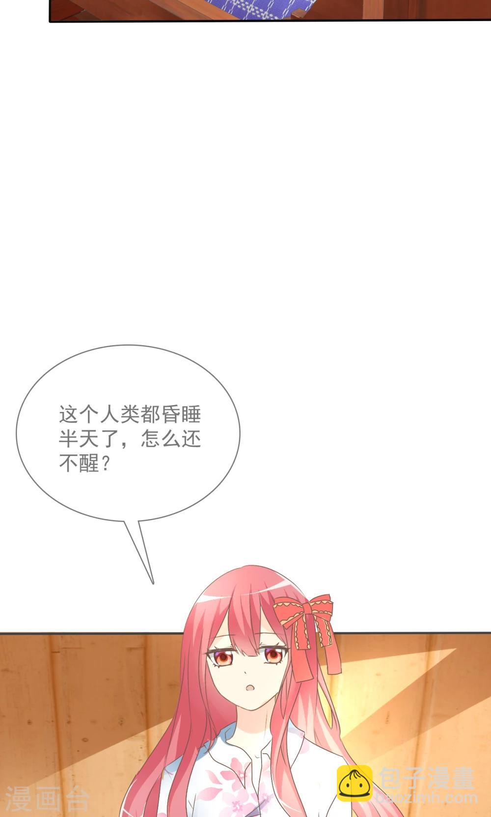 第4话 三个萌宠一台戏-第5话
