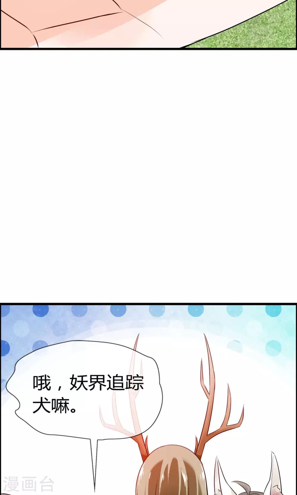 第14话 妖界追踪犬？-第15话