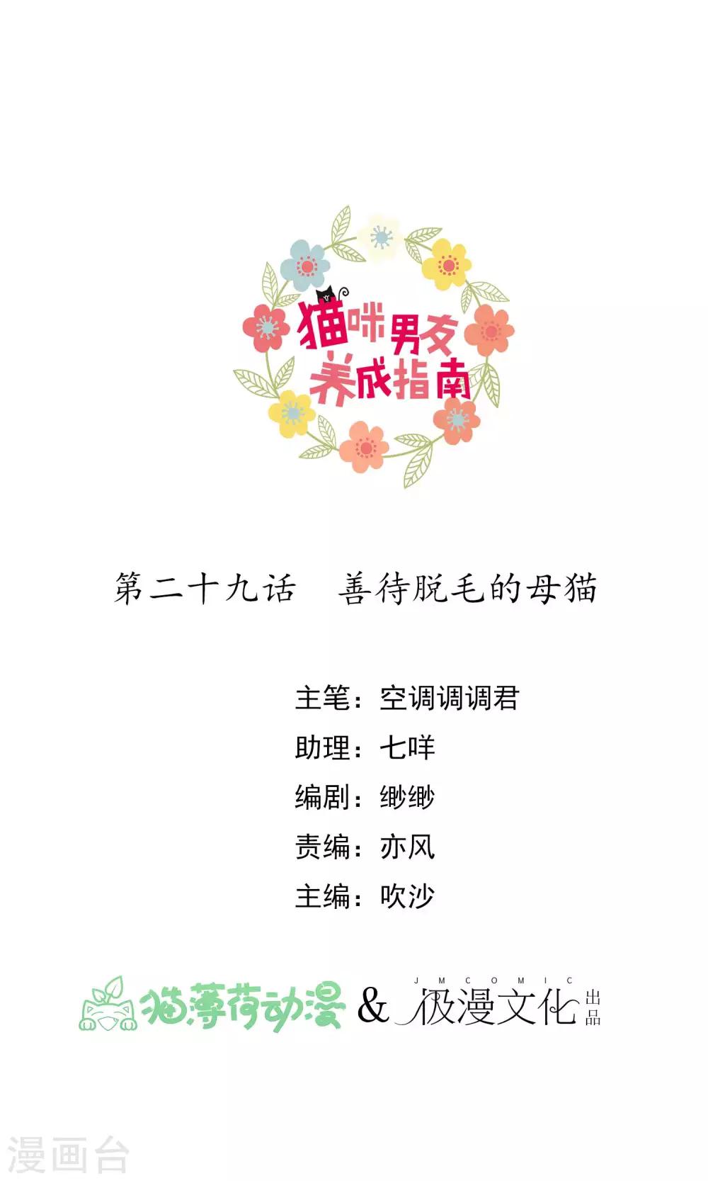 第29话 善待脱毛的母猫-第31话