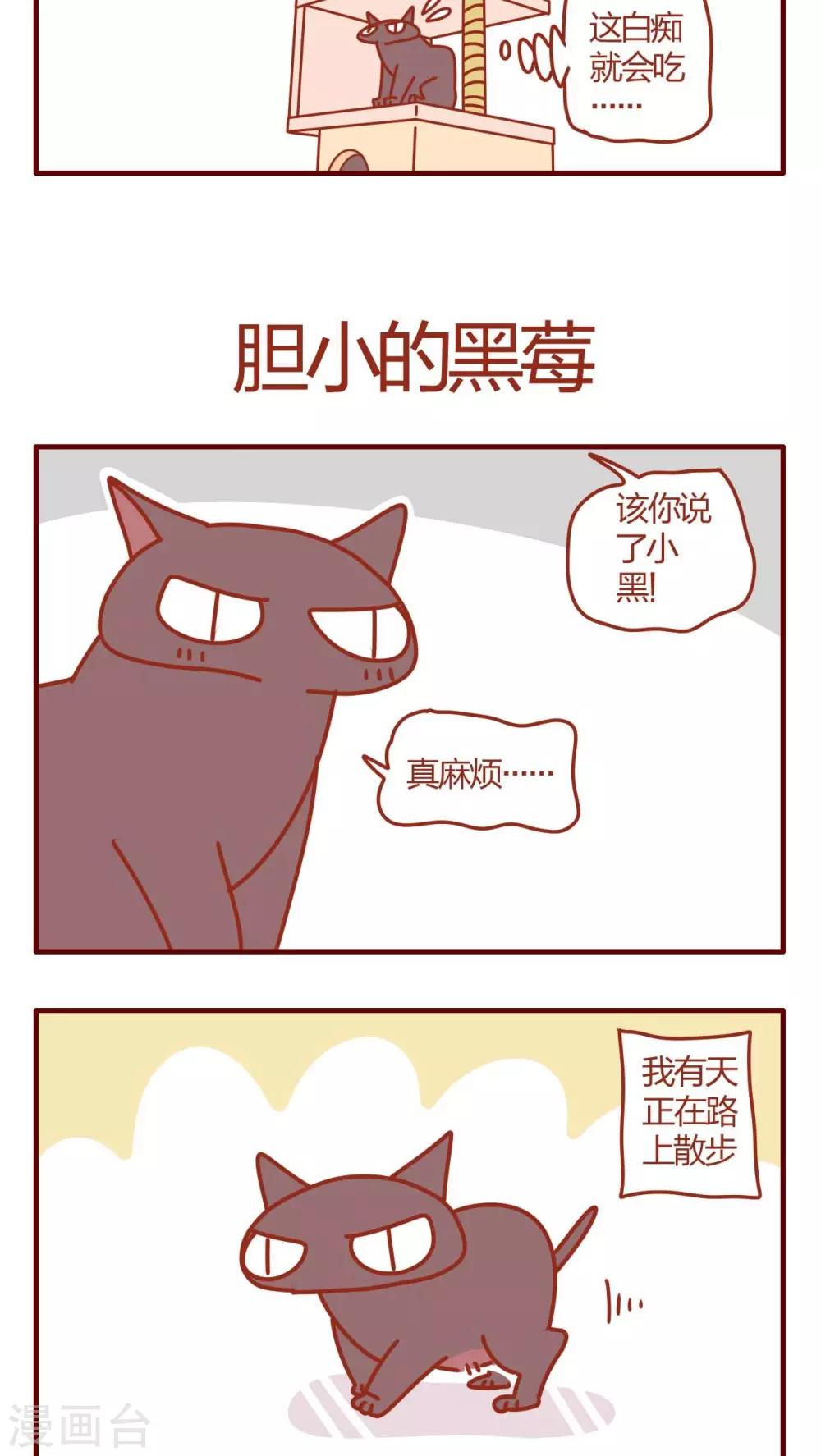 第1话-第1话