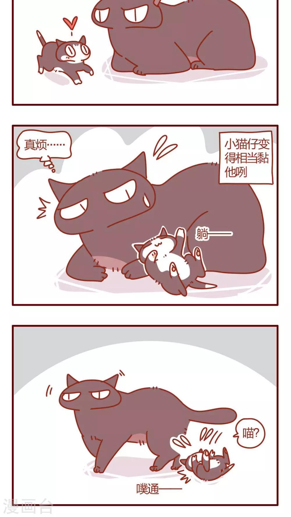 第11话-第11话