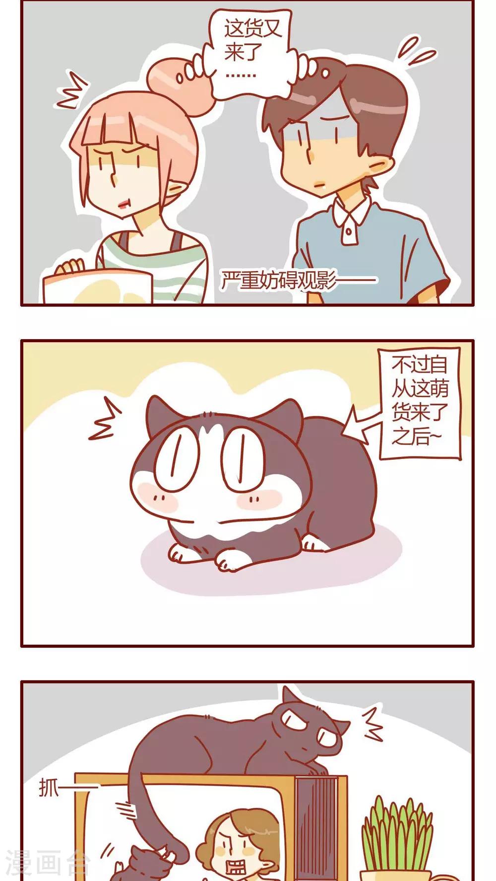 第13话-第13话