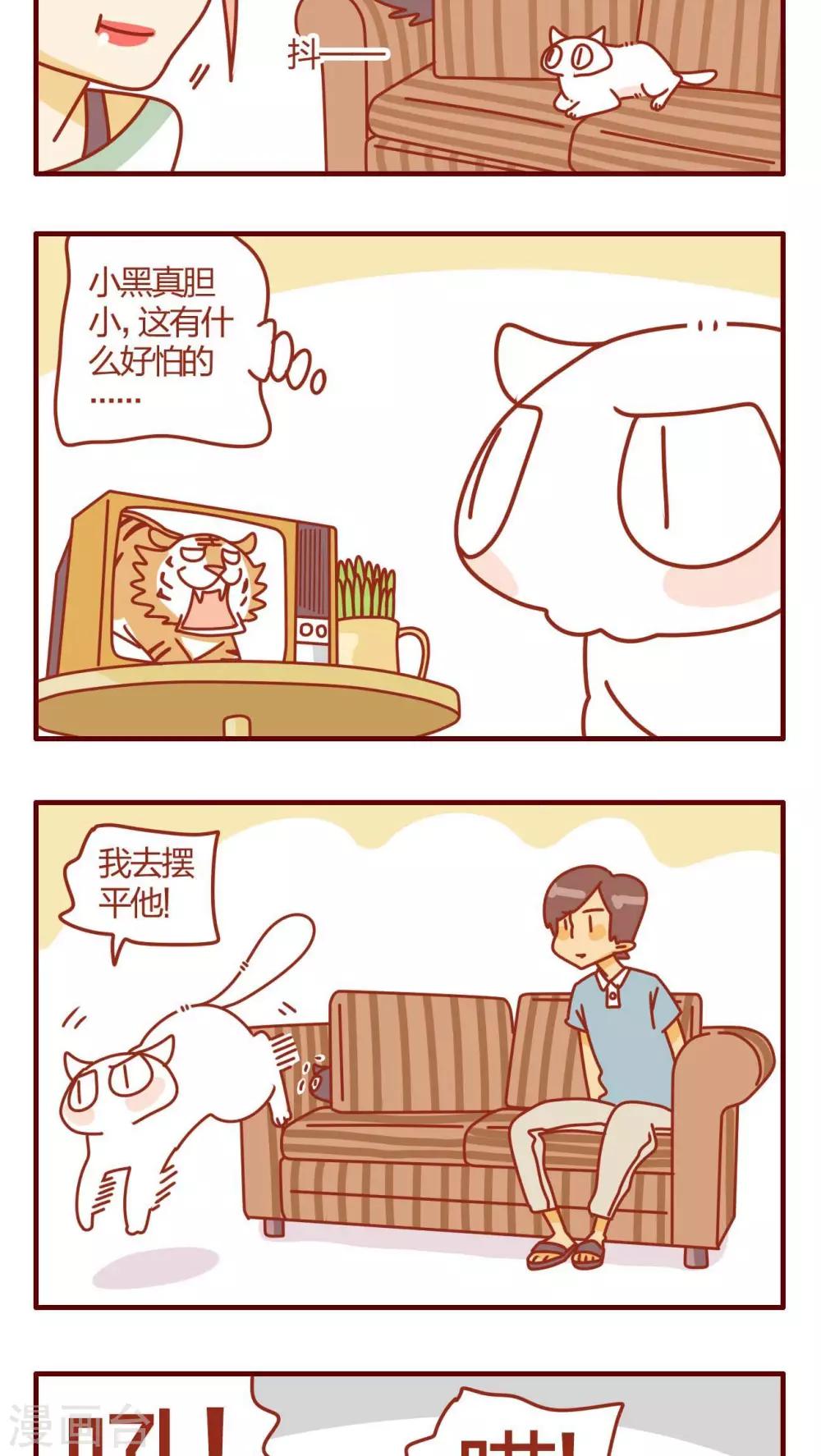第13话-第13话