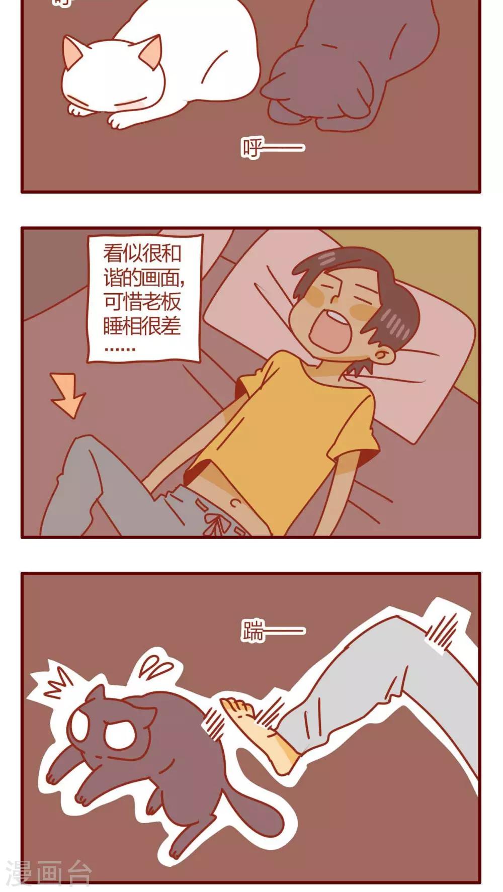第19话-第19话