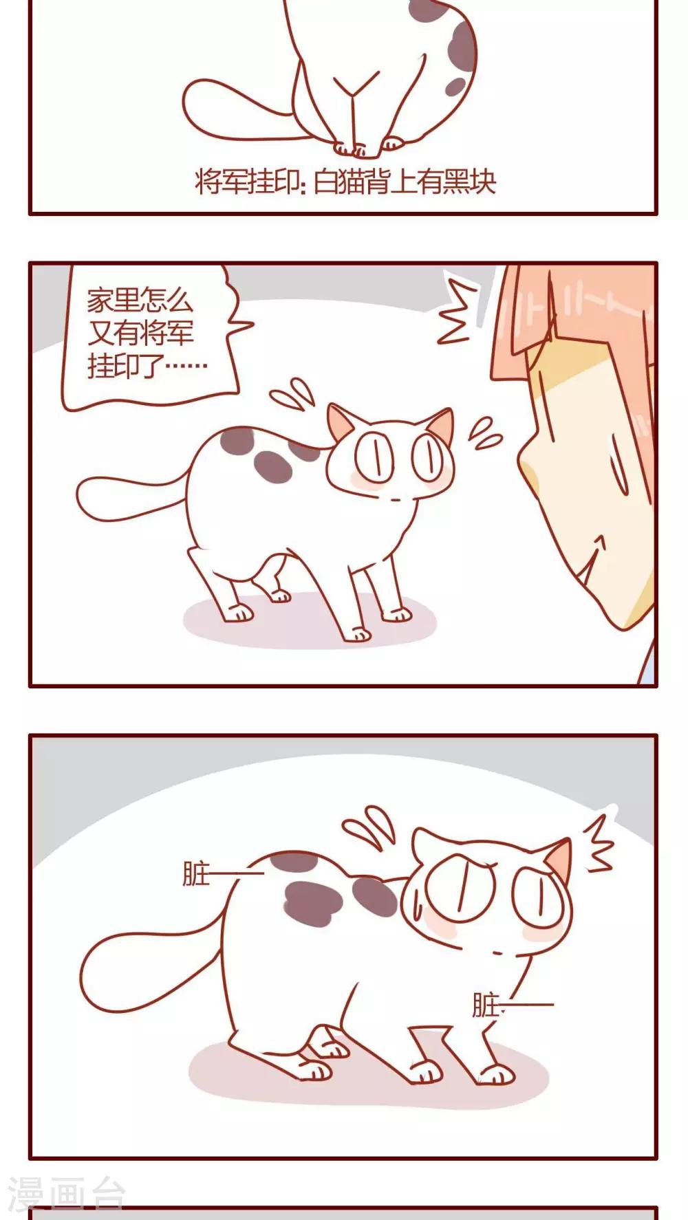 第19话-第19话