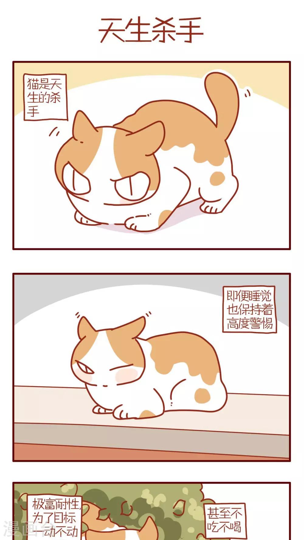 第193话-第193话