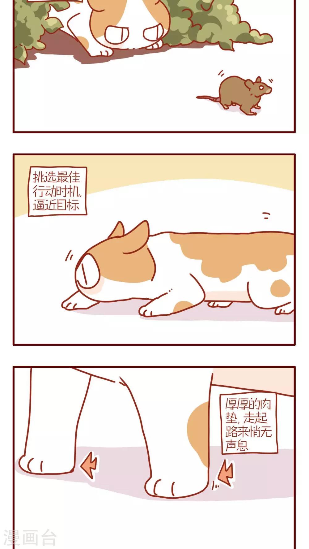 第193话-第193话