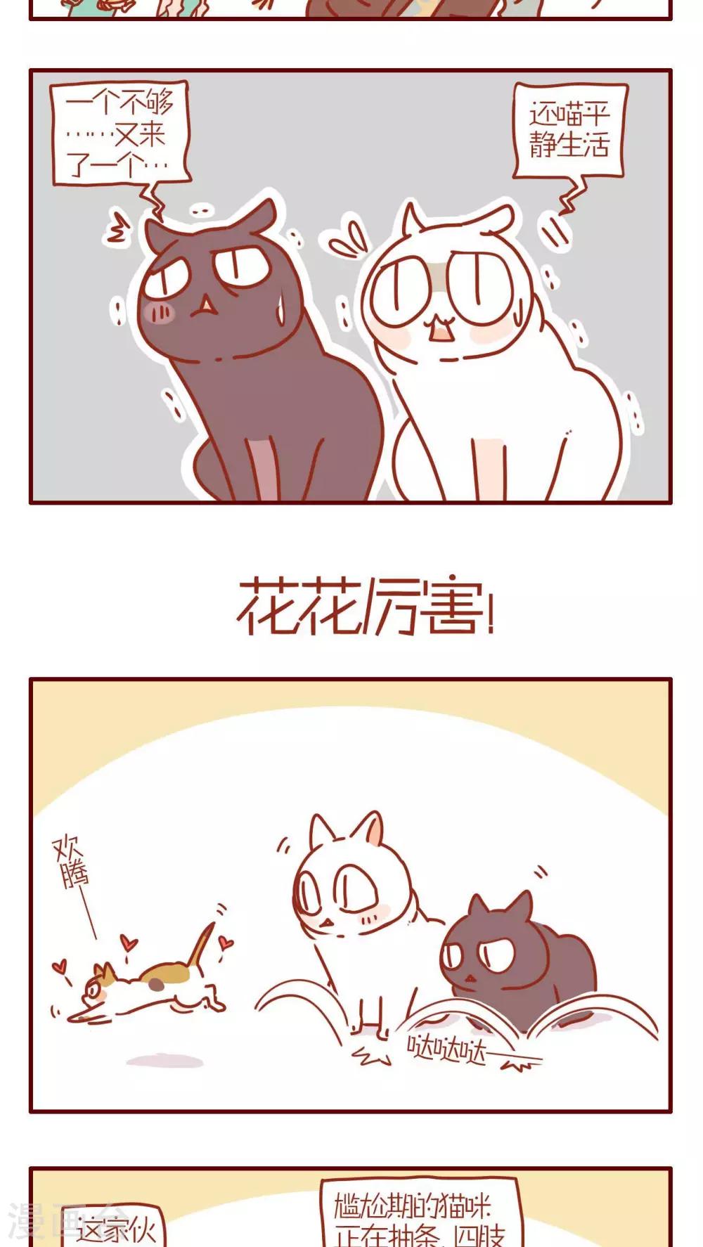 第231话-第231话
