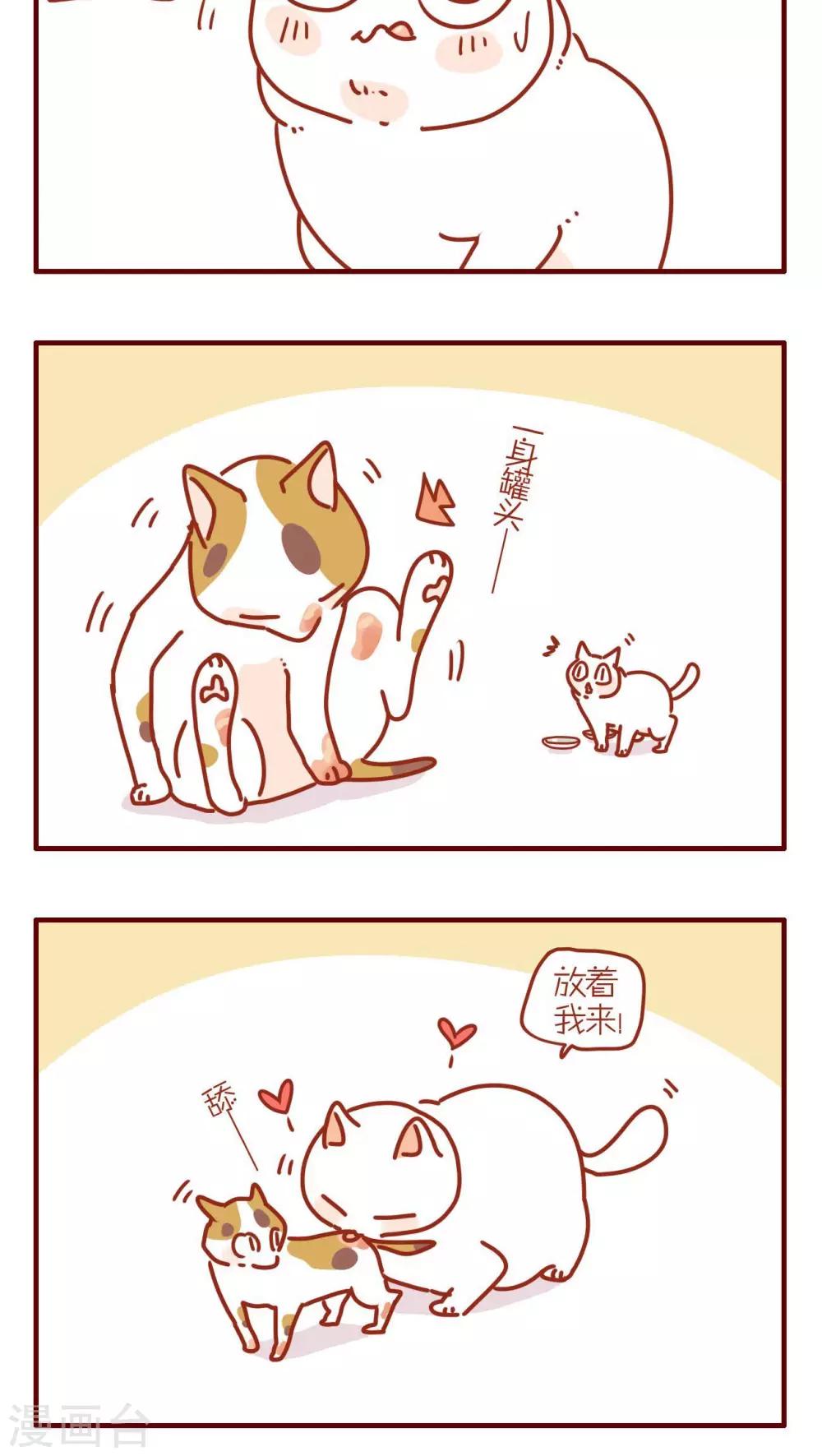第235话-第235话