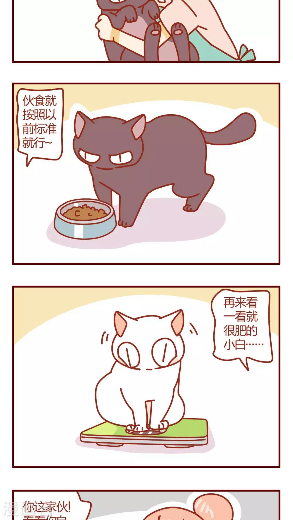 第27话-第27话