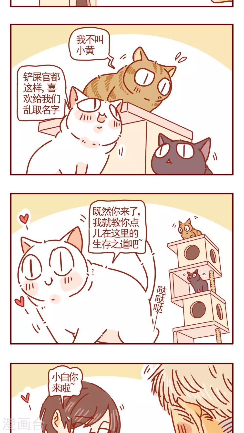 第279话-第279话