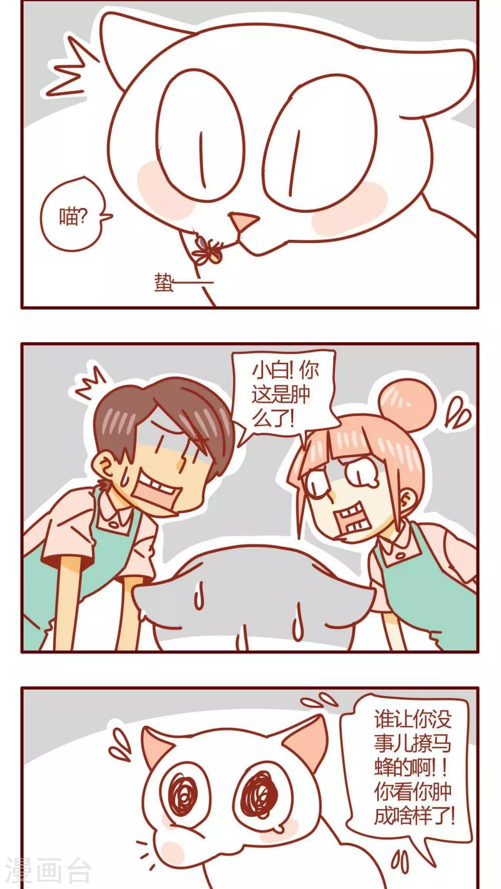 第29话-第29话
