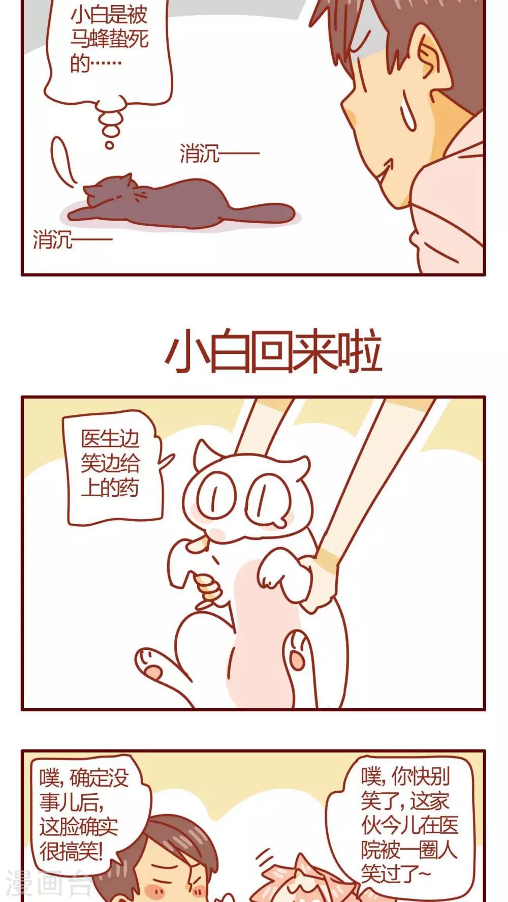 第29话-第29话