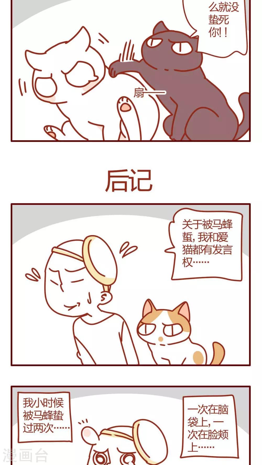 第29话-第29话
