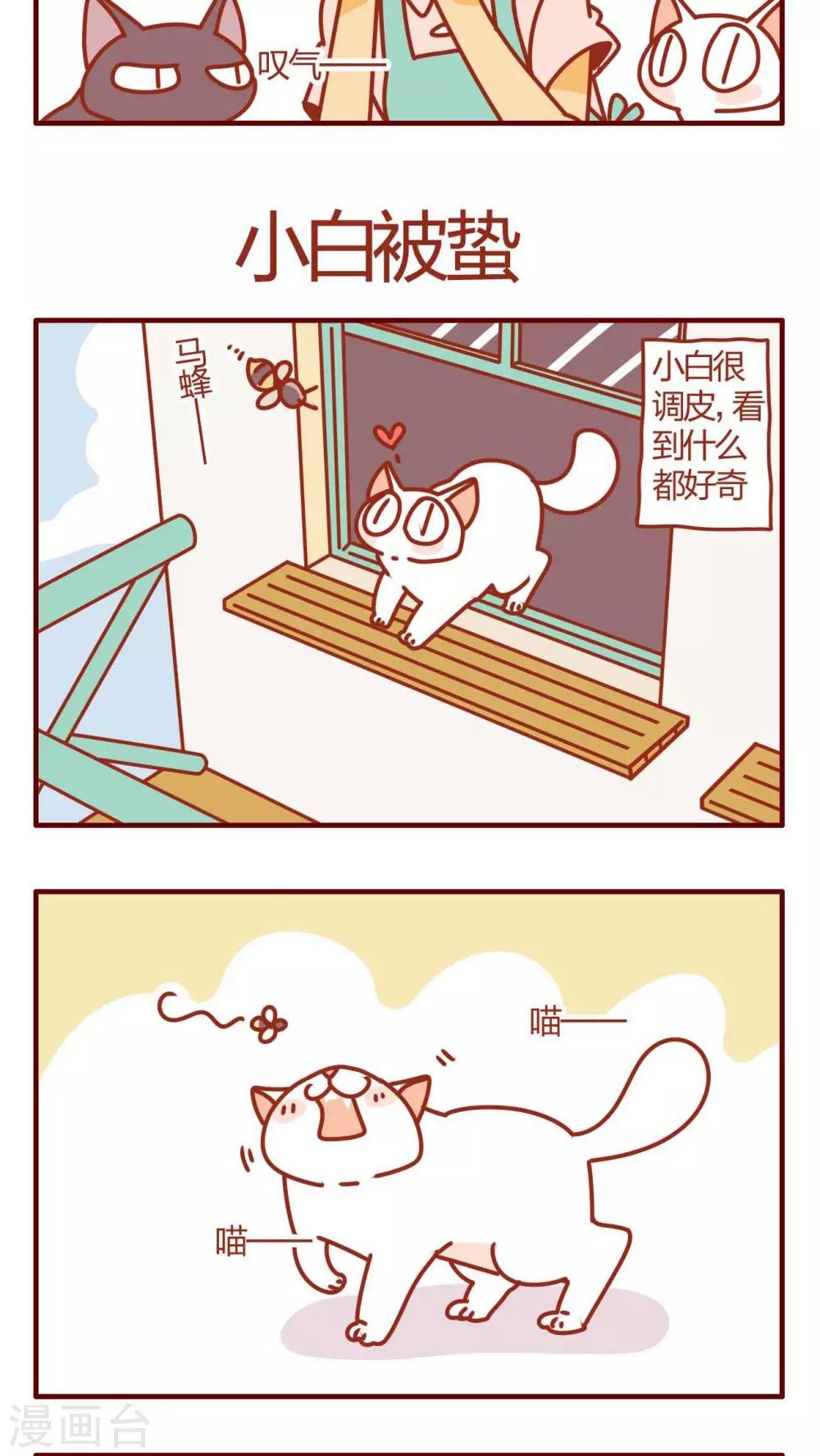 第29话-第29话