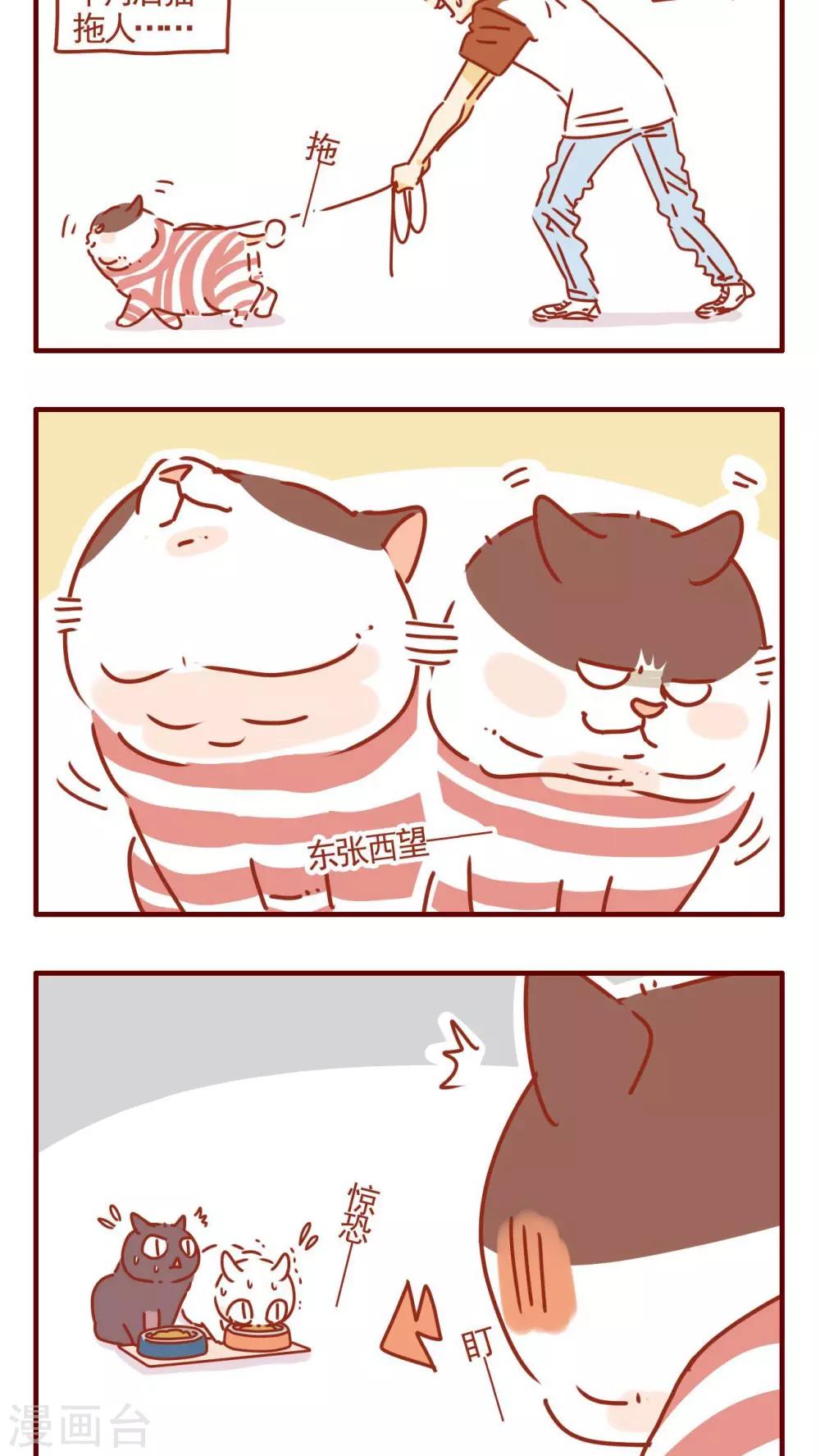 第291话-第291话