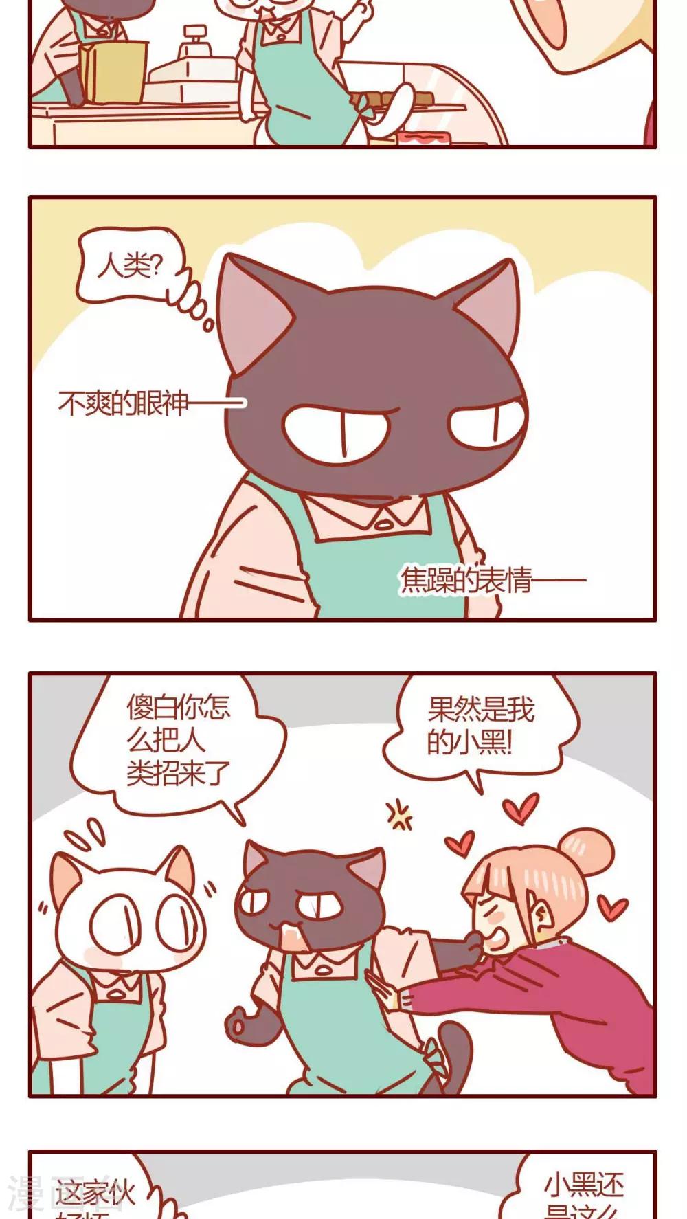 第31话-第31话