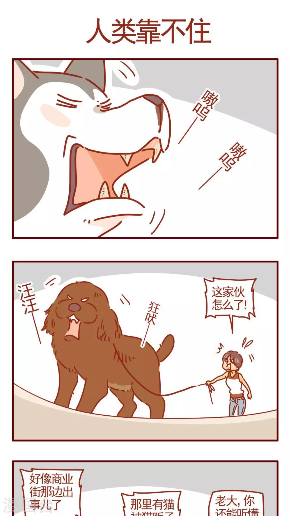 第319话-第319话