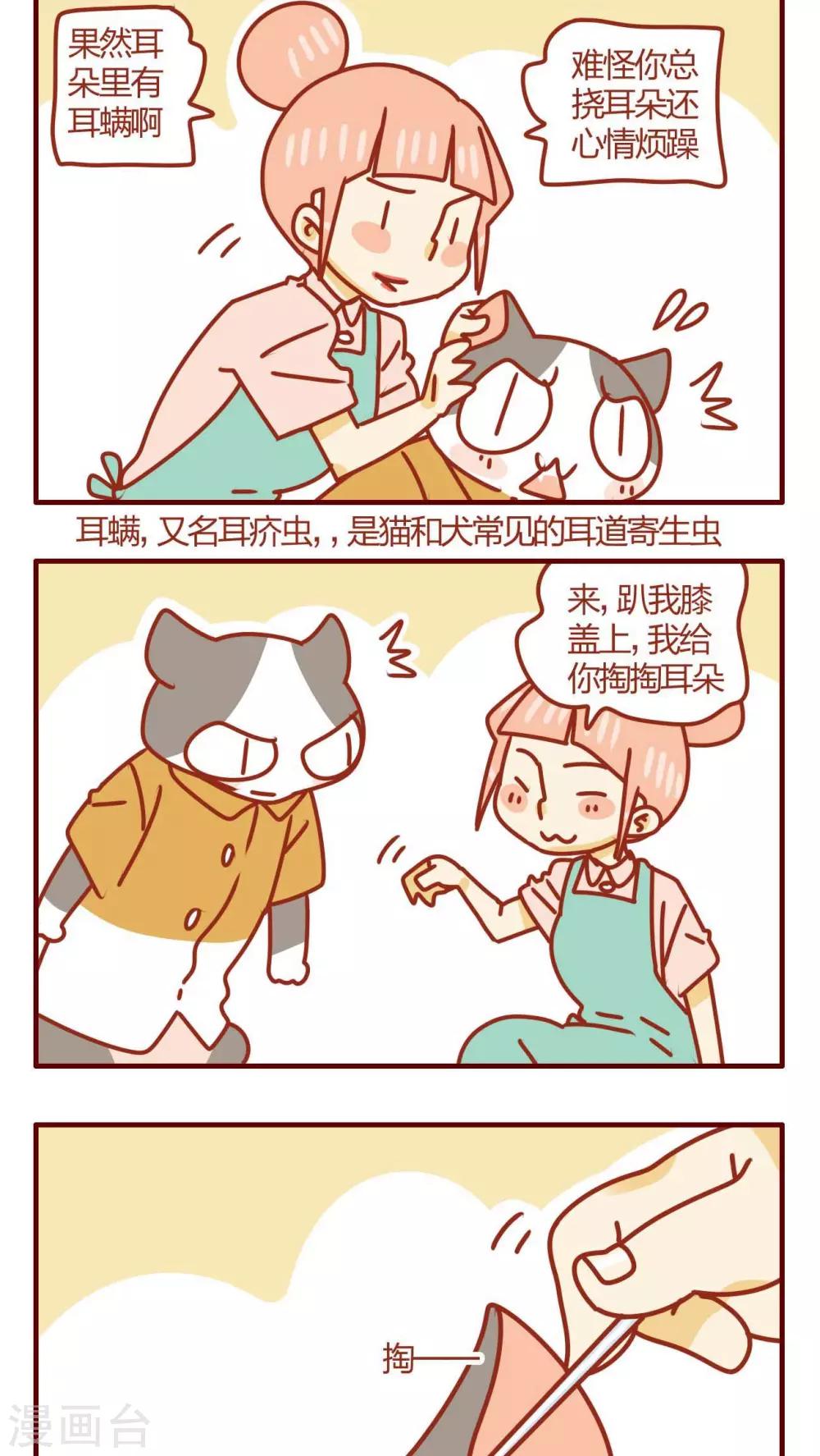第33话-第33话