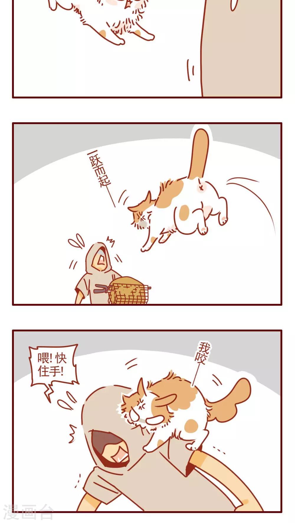 第321话-第321话