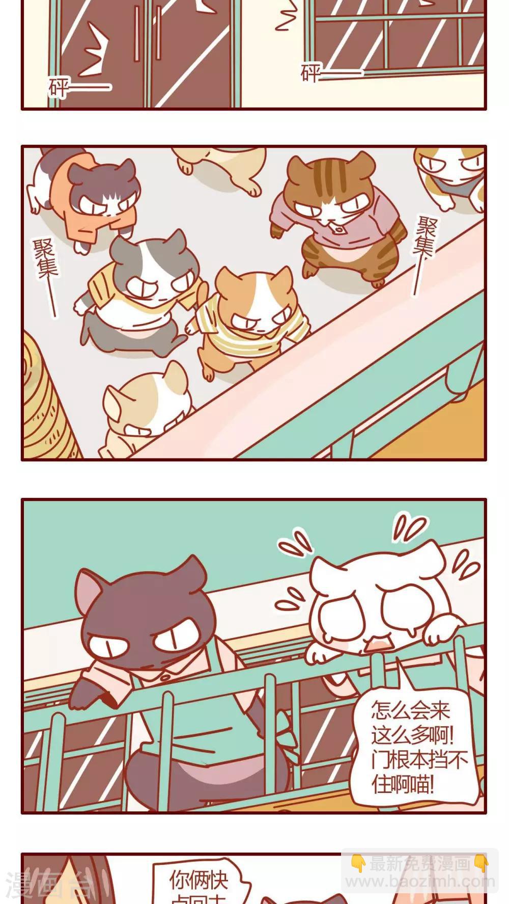 第35话-第35话