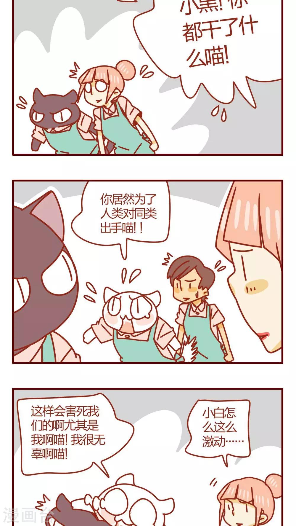 第35话-第35话